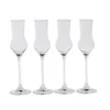 CASA After Dinner Copas De Grappa Juego De 4 Transparente Outlet