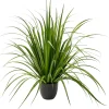 CASA Allium Hierba Ornamental Verde Online