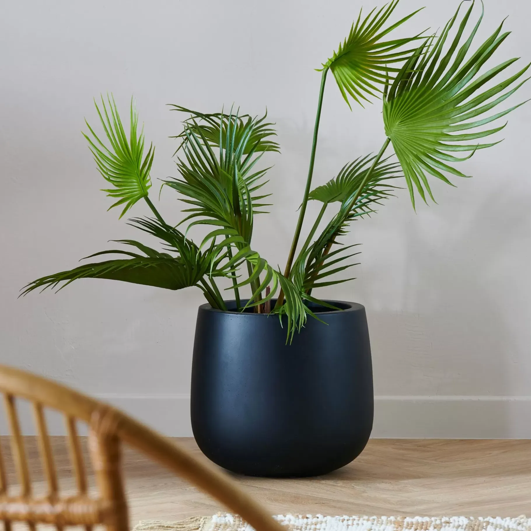 CASA Areca Palmera Verde Online