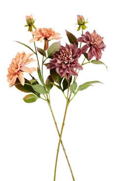 CASA Dahlia Rama De Flores Melocoton Best