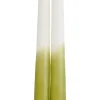 CASA Duo Velas Largas Juego De 2 Verde, Crema, Multicolor Outlet