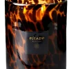 CASA Escape Black Oudh Negro, Marron, Ocre New