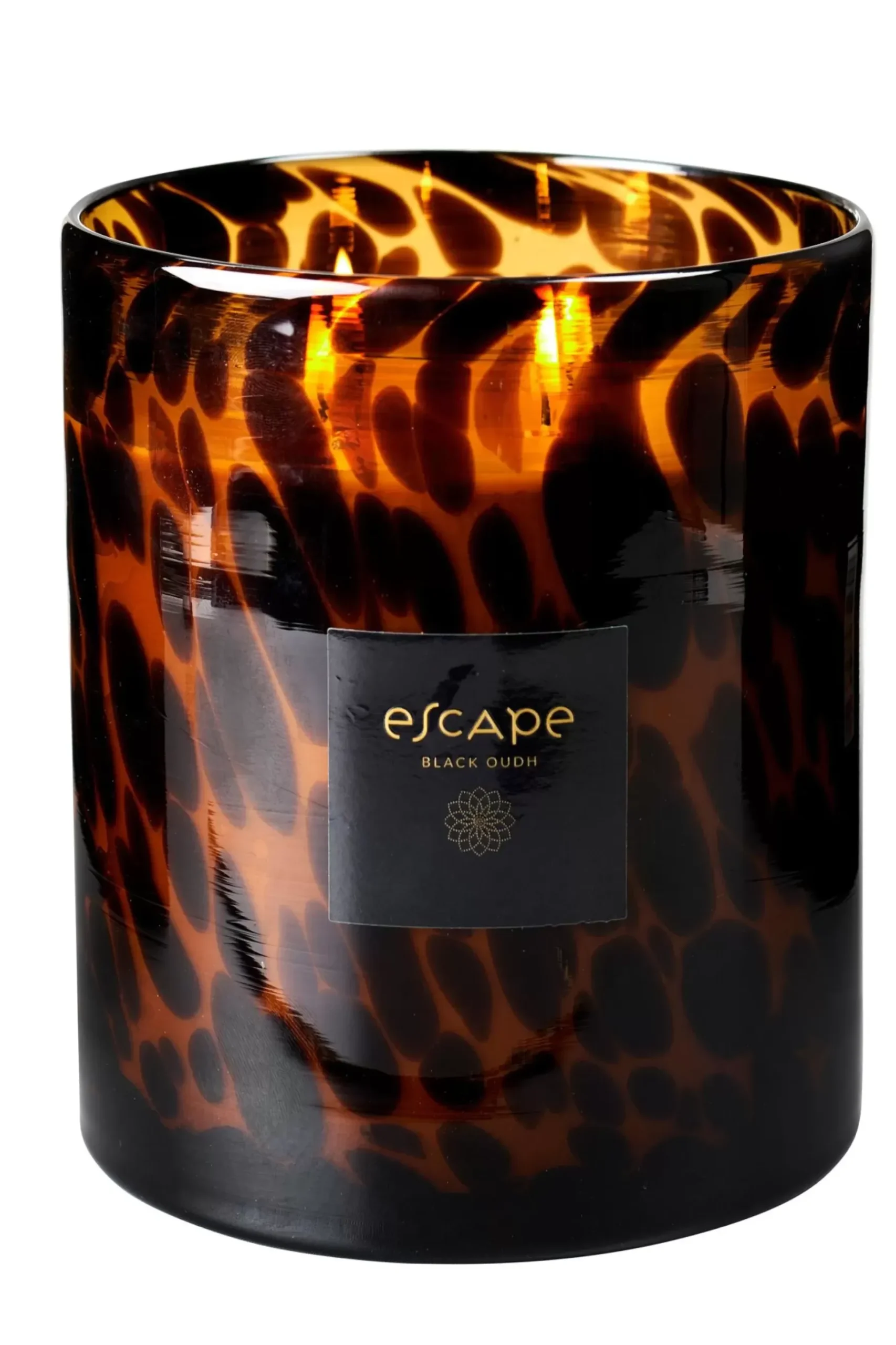 CASA Escape Black Oudh Negro, Marron, Ocre New