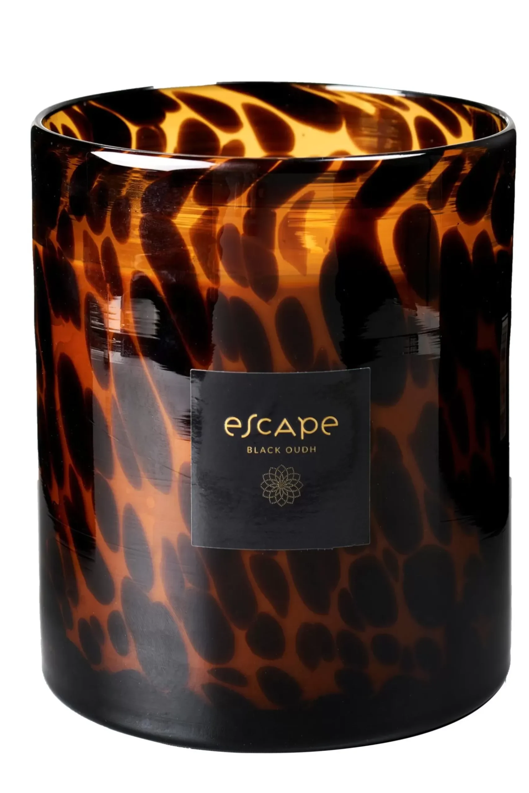 CASA Escape Black Oudh Negro, Marron, Ocre New
