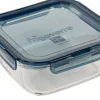 CASA Evolution Fuente De Horno Con Tapa Gris, Transparente New