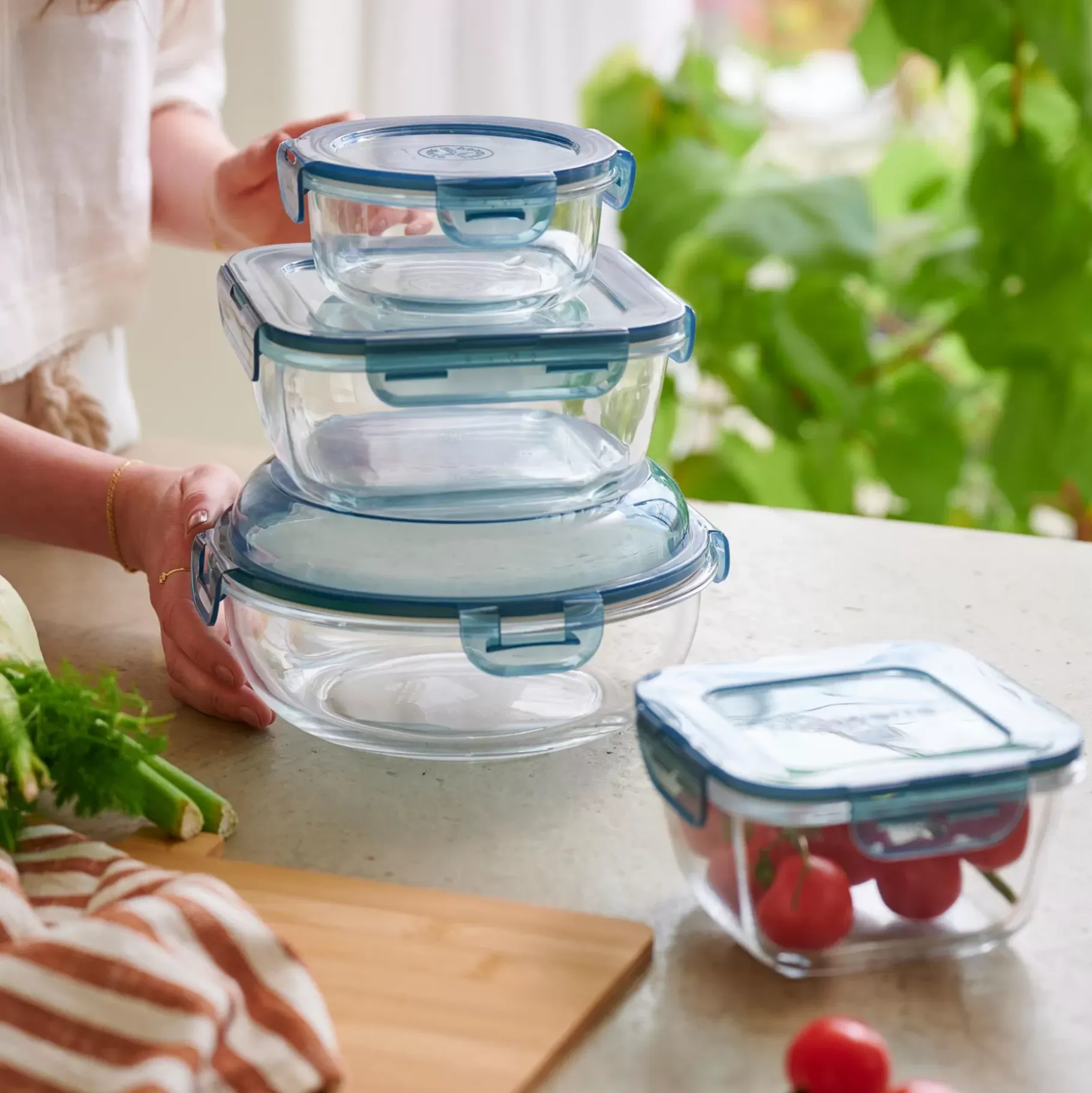 CASA Evolution Fuente Para Horno Con Tapa Gris, Transparente New