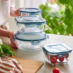 CASA Evolution Fuente Para Horno Con Tapa Gris, Transparente Sale