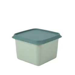 CASA Freezer Cajas Congeladoras Juego De 10 Menta, Verde Oscuro Hot