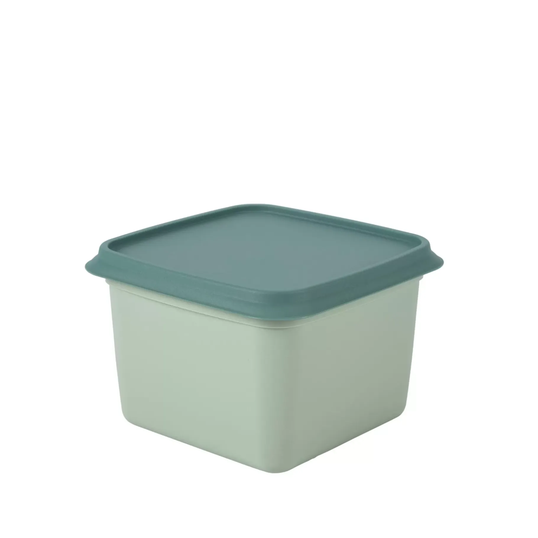 CASA Freezer Cajas Congeladoras Juego De 10 Menta, Verde Oscuro Hot