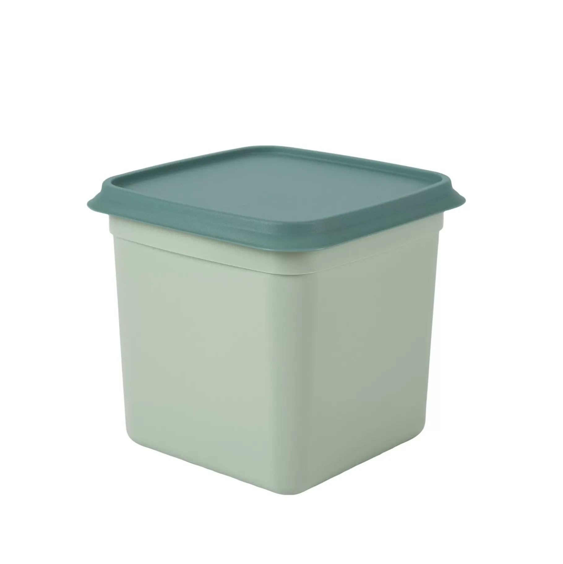 CASA Freezer Cajas Congeladoras Juego De 10 Menta, Verde Oscuro Hot