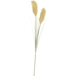CASA Grass Cana Con Pluma Verde Online