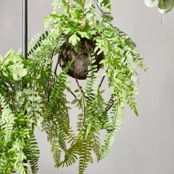 CASA Greenery Macetero Colgante Con Helecho Verde Best