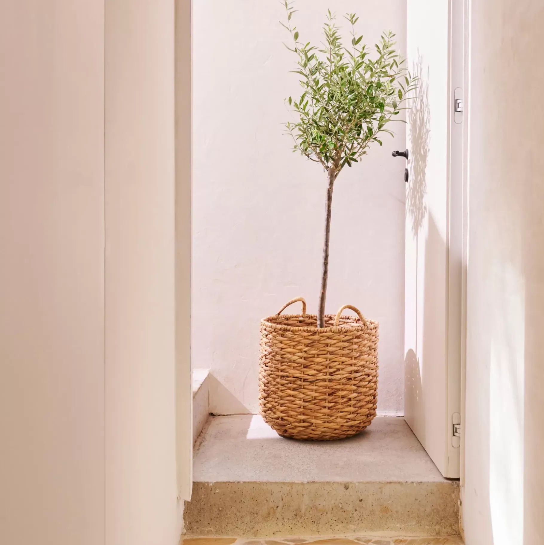 CASA Joni Cesta Natural
