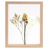 CASA Limonium Decoracion De Pared Natural Discount