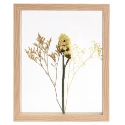 CASA Limonium Decoracion De Pared Natural Discount