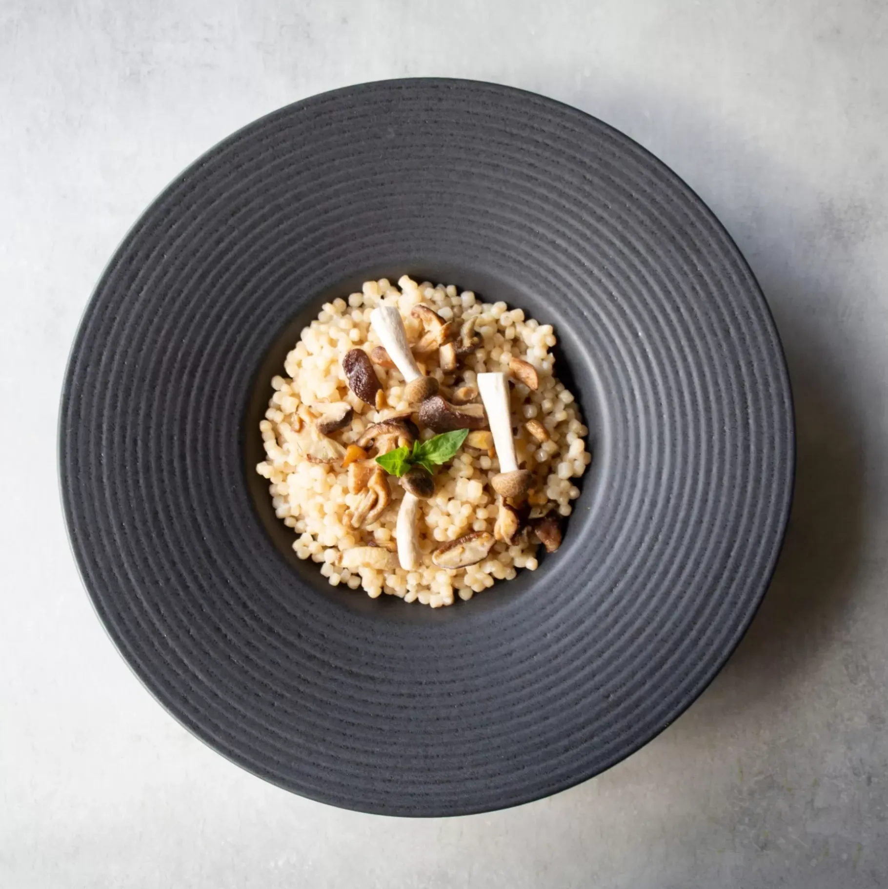 CASA Masterchef Plato Gourmet Negro
