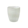 CASA Masterchef Taza Beis Sale