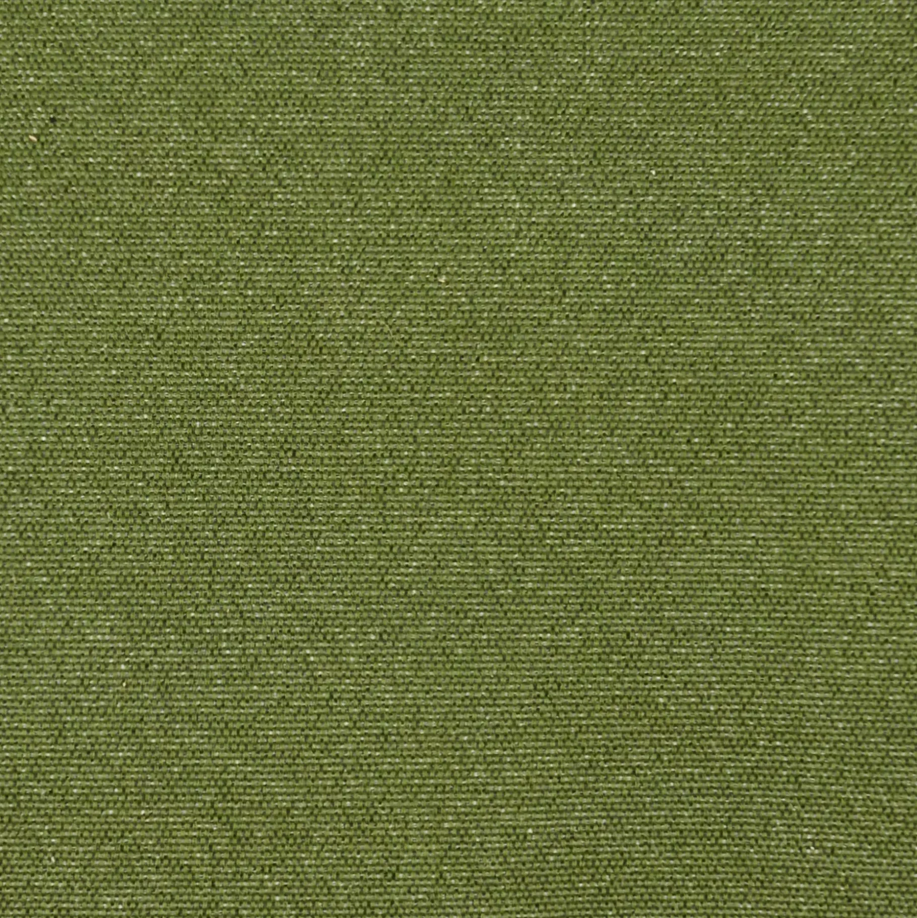 CASA Pauletta Luxe Verde Clearance