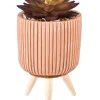CASA Stripe Planta Crasa Art En Tarro Multicolor Clearance
