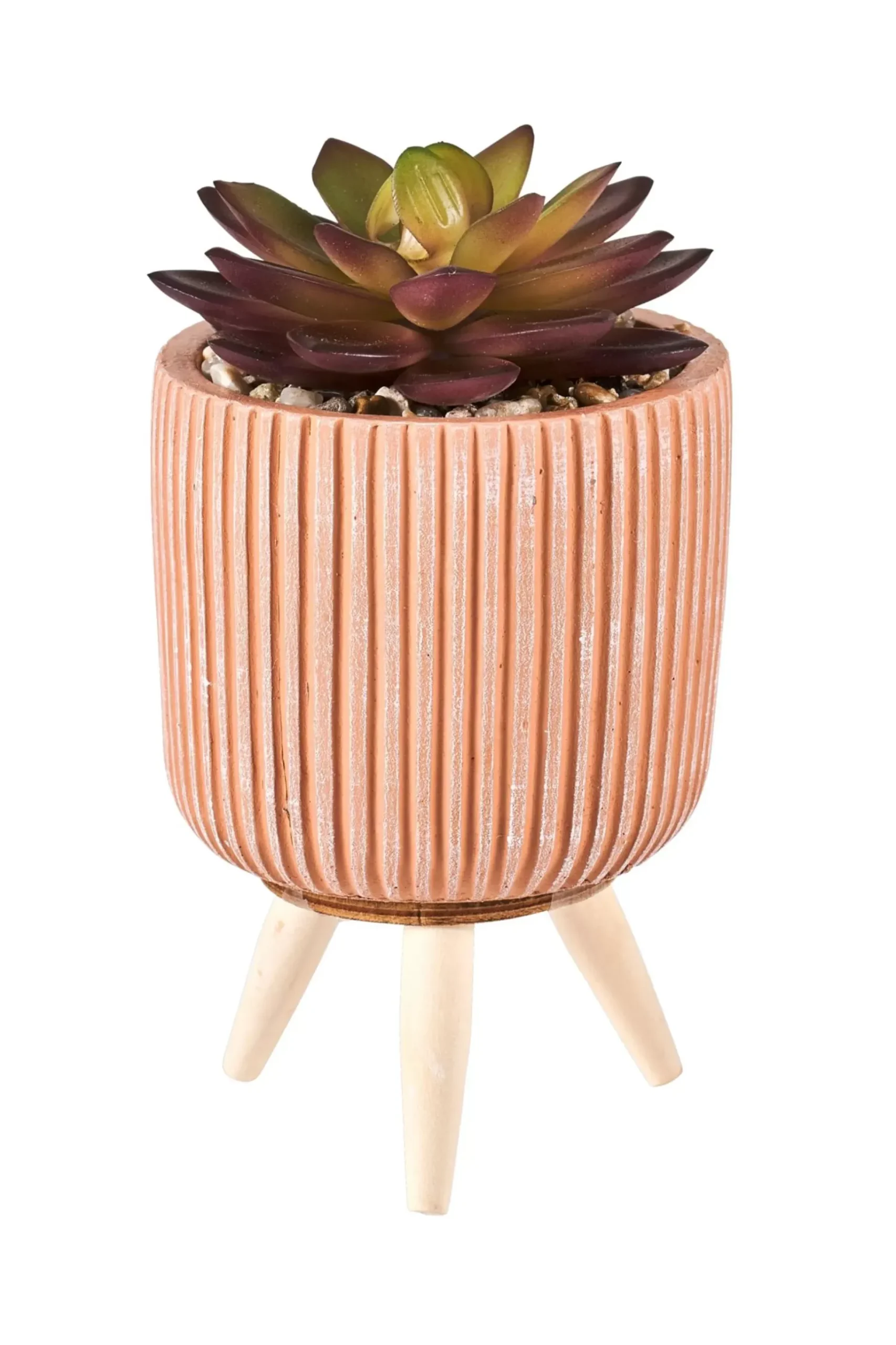 CASA Stripe Planta Crasa Art En Tarro Multicolor Clearance