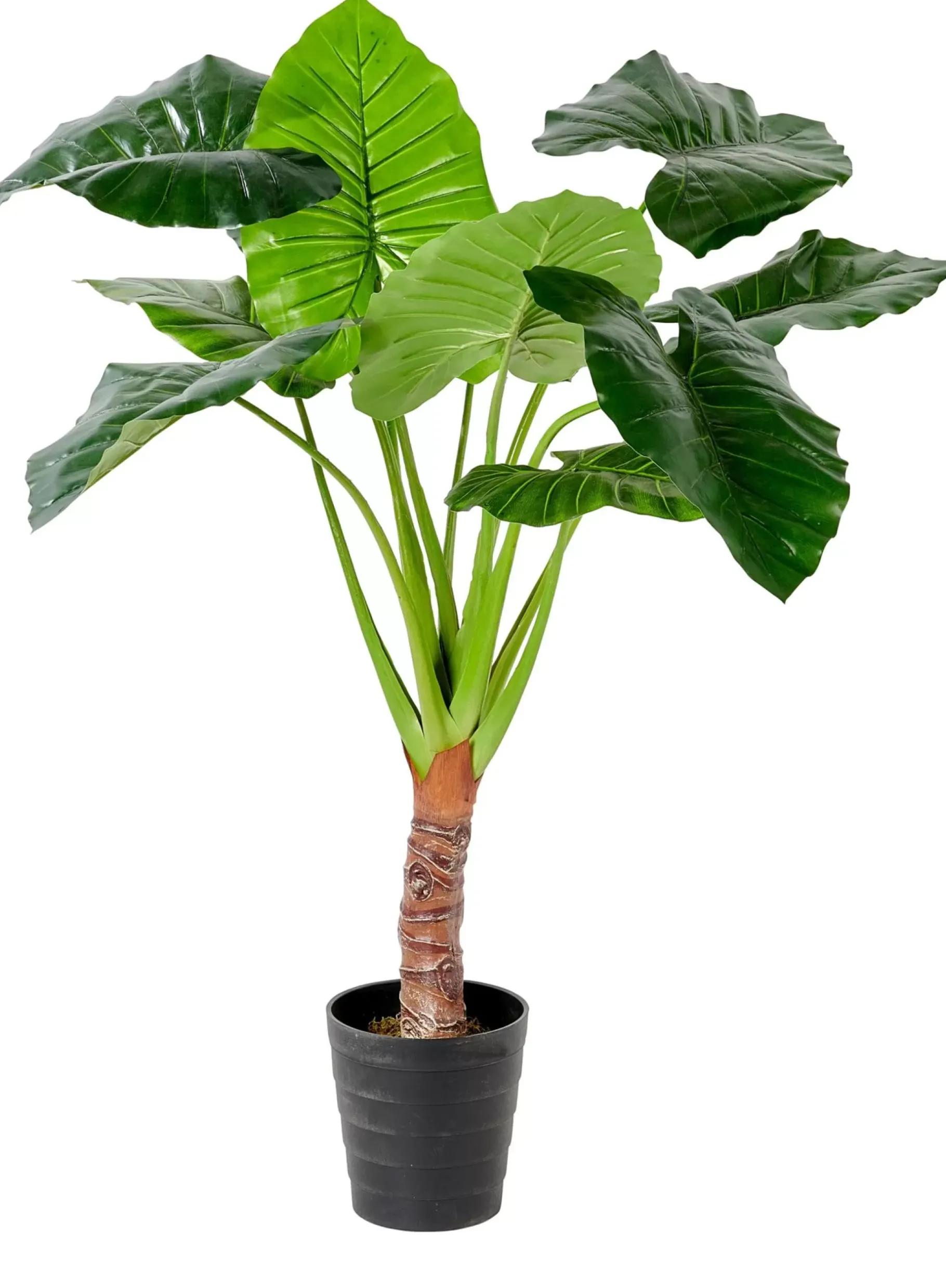 CASA Taro Planta Artificial Aro Verde Online