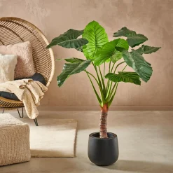 CASA Taro Planta Artificial Aro Verde Online