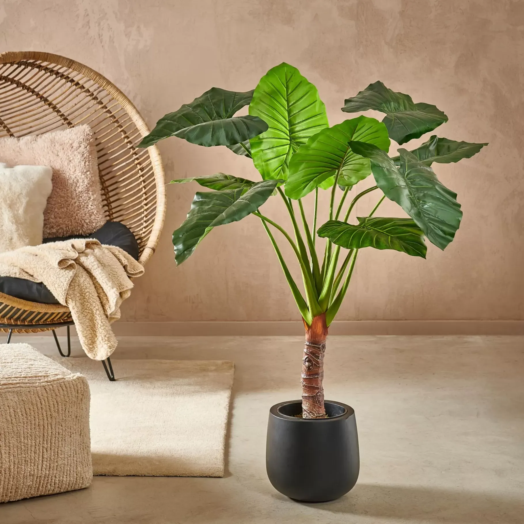 CASA Taro Planta Artificial Aro Verde Online