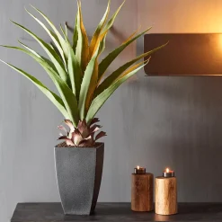 CASA Vera Planta Aloe Vera Verde Sale