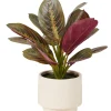 CASA Zebrina Planta Artificial Hot